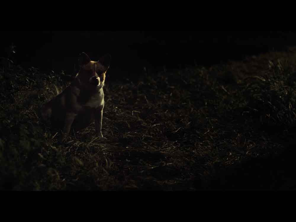 AMANCIO VAMPIRO DE PUEBLO