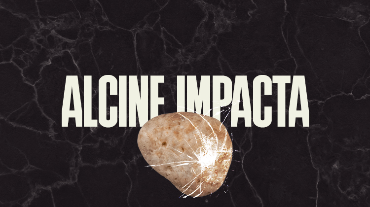 ALCINE Impacta llega con un documental sobre Boa Mistura dirigido por el complutense Dan Barreri