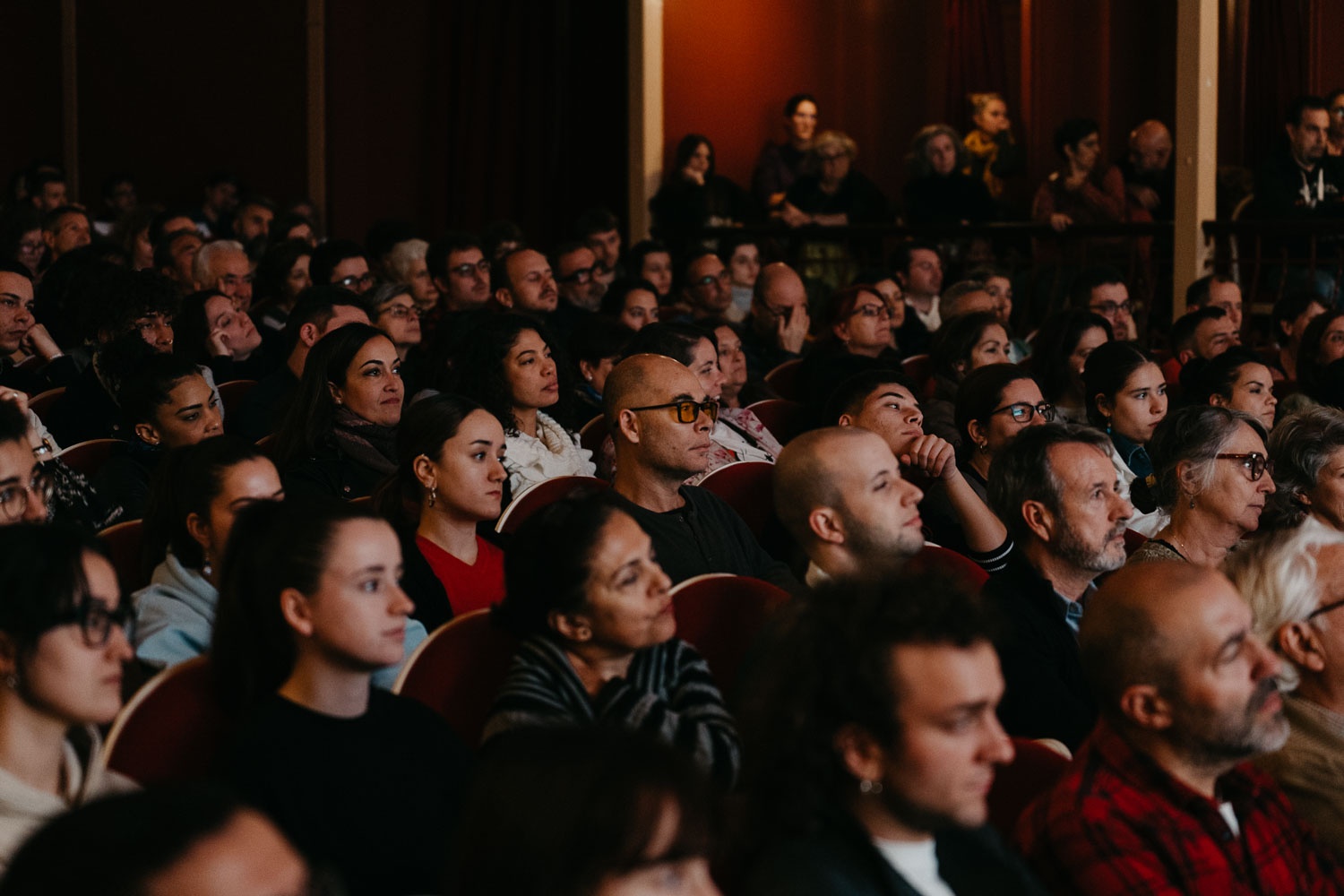 Alcine 52 - Presentación Pedro Almodóvar