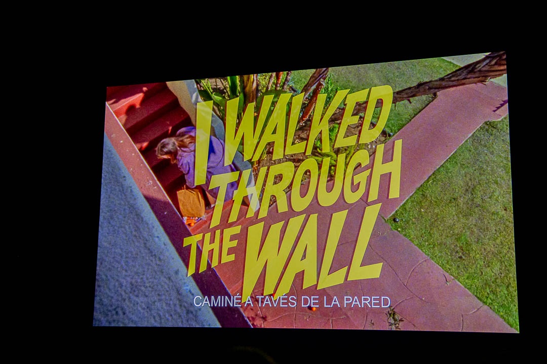 ALCINE Igualdad 9/11/2025