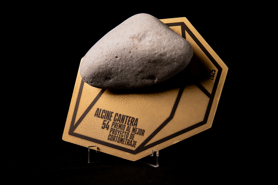 Diamantes ALCINE 54 13/11