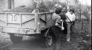 OPACC - ORGANIZACIÓN POPULAR ARMADA CONTRA LA CORRUPCIÓN