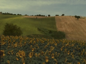 NON SI PUÒ NULLA CONTRO IL VENTO