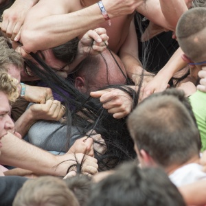 LES COMBATTANTS DU POIL SACRÉ