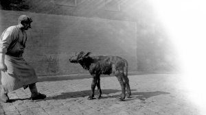 ALLES WAS IRGENDWIE NÜTZT