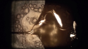 SKORO NISTA: I DALJE NOC