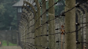 TRAS LOS PASOS DE EDITH STEIN