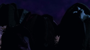 SONDER - A TALE OF CONNECTIONS