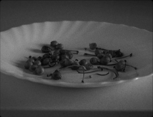 CANCIÓN EN LA NOCHE