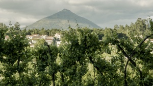 FORTUNATO - D’AQUI ATÉ SÃO TORCATO