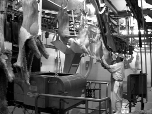 DE LA NATURE DES CHOSES