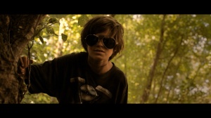 DESPIERTA A LAS MOSCAS