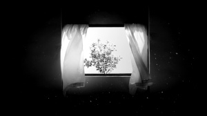 DIX PUISSANCE MOINS QUARANTE TROIS SECONDE