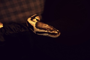 ECCE MULIER (L'ENFER)