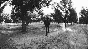 EXPECTATIVAS, A SHORT FILM