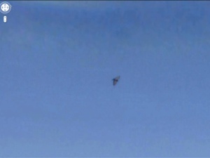 ME LLAMO ROBERTO DELGADO