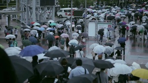 IN CERCA DI UN AMICO