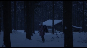 LA PROIE POUR L'OMBRE