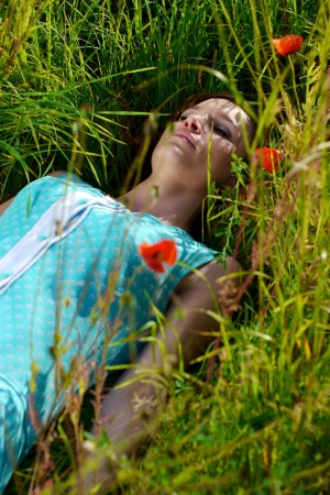 LE HÉRISSON DE VERRE