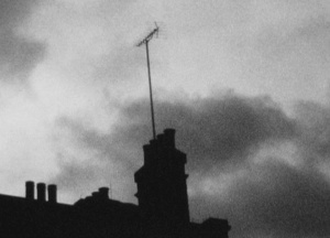 LOOKING FOR SOMETHING