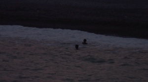 MANEL VIU A SARAJEVO