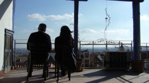 LOS PÁJAROS PERDIDOS