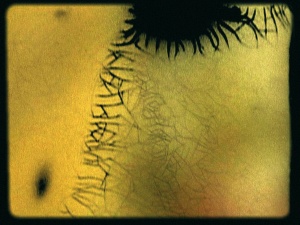 PICTURE HEAD – EINE REFLEXION