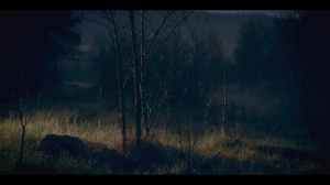 QUAN EL CANSAMENT VENÇ LA BELLESSA