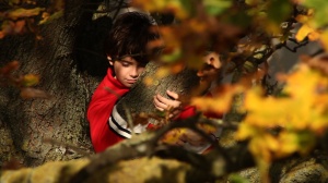 AIEL QUALCADO CUM SET?