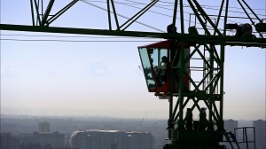 THE SOLITARY LIFE OF CRANES