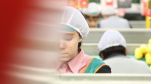 LA CHICA DE LA FÁBRICA DE LIMONES