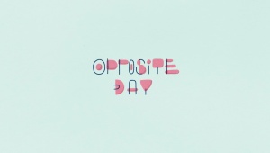 THE OPPOSITE DAY