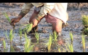 THE OTHER SIDE OF HAMPI