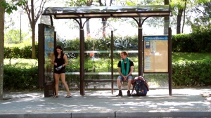 ¿CUÁNTO PESA UN OSO POLAR?