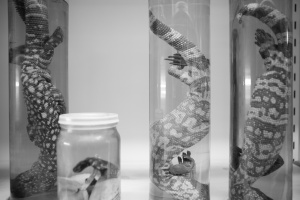 WHAT HAPPENS WHEN THE HEART JUST STOPS