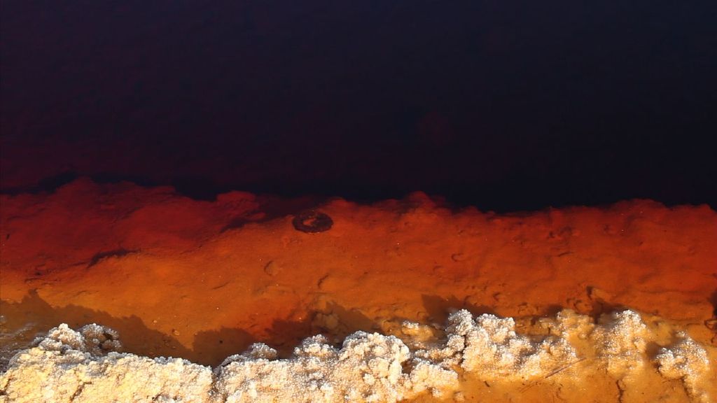 AS FIGURAS GRAVADAS NA FACA COM A SEIVA DAS BANANEIRAS