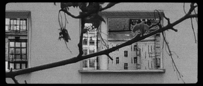 BILDFENSTER | FENSTERBILDER