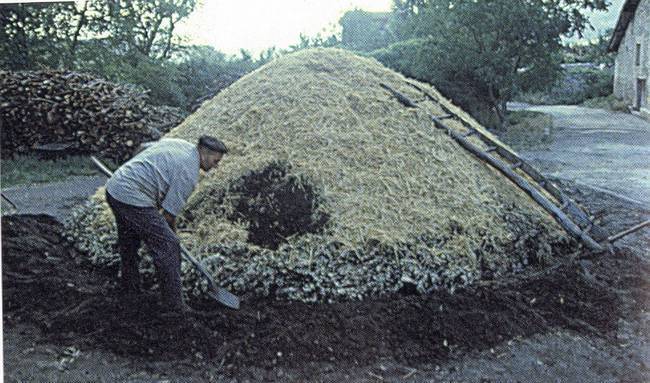 CARBONEROS DE NAVARRA