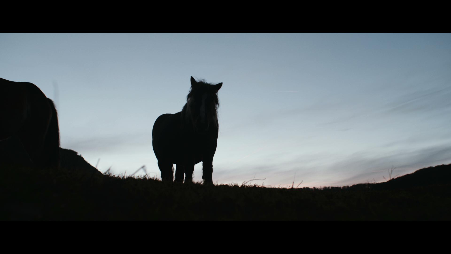 ELENA ASINS - GÉNESIS