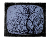 RECONSTRUCTING SUDAN