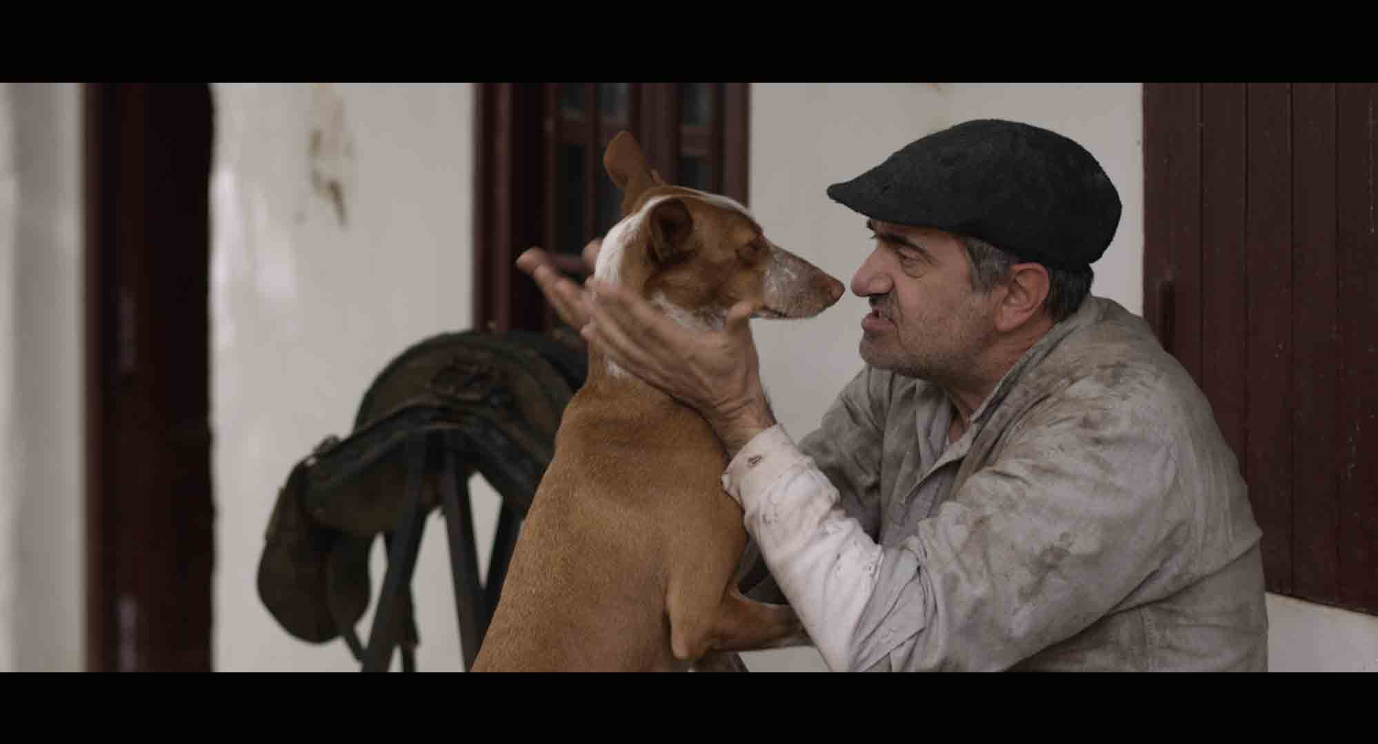 COCOTE, HISTORIA DE UN PERRO