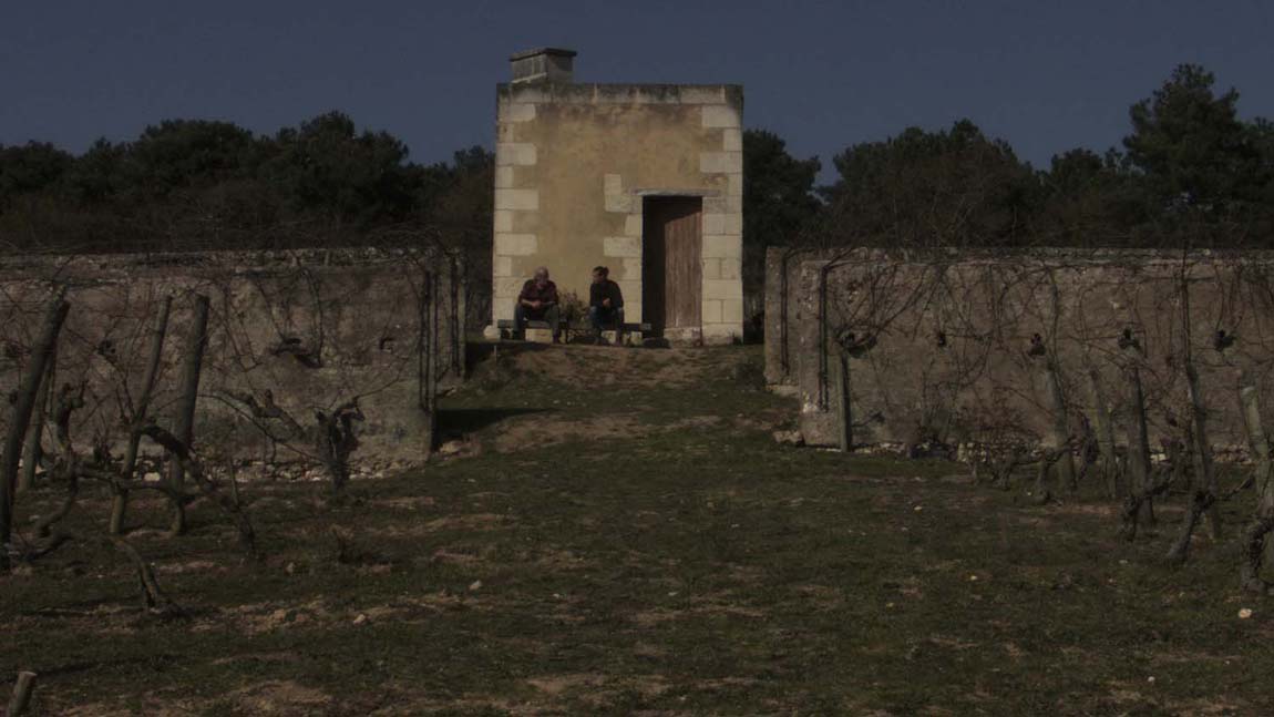 LES YEUX DE LA VIGNE