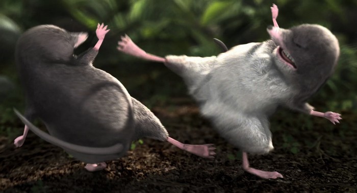 OUR WONDERFUL NATURE